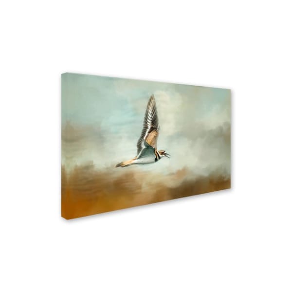 Jai Johnson 'Flight Of The Killdeer' Canvas Art,12x19